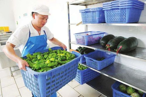 線(xiàn)上訂餐,信息精準(zhǔn)化 大唐智訊智慧食堂保障團(tuán)體就餐安全